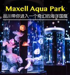 Maxell Aqua Park 品川带你进入一个奇幻的海洋国度~